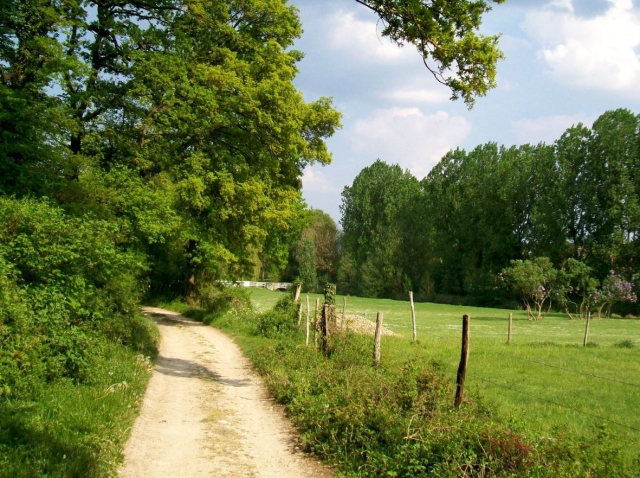 Paisajes verdes de Galicia
